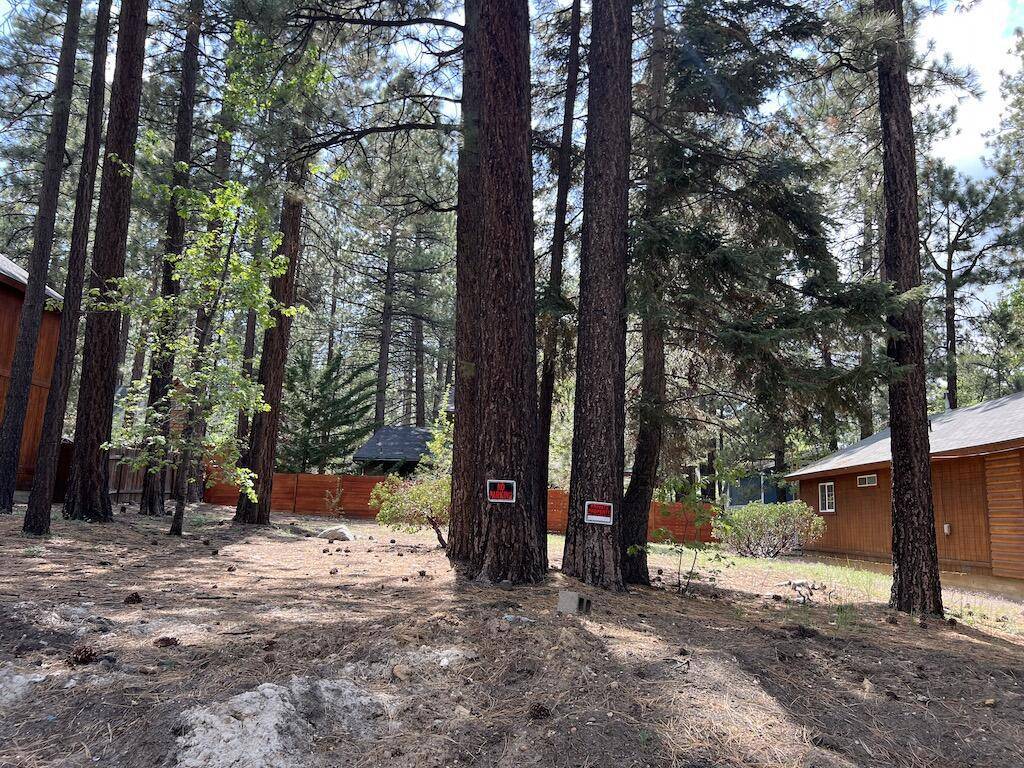 Big Bear, CA 92315,0 Summit BLVD