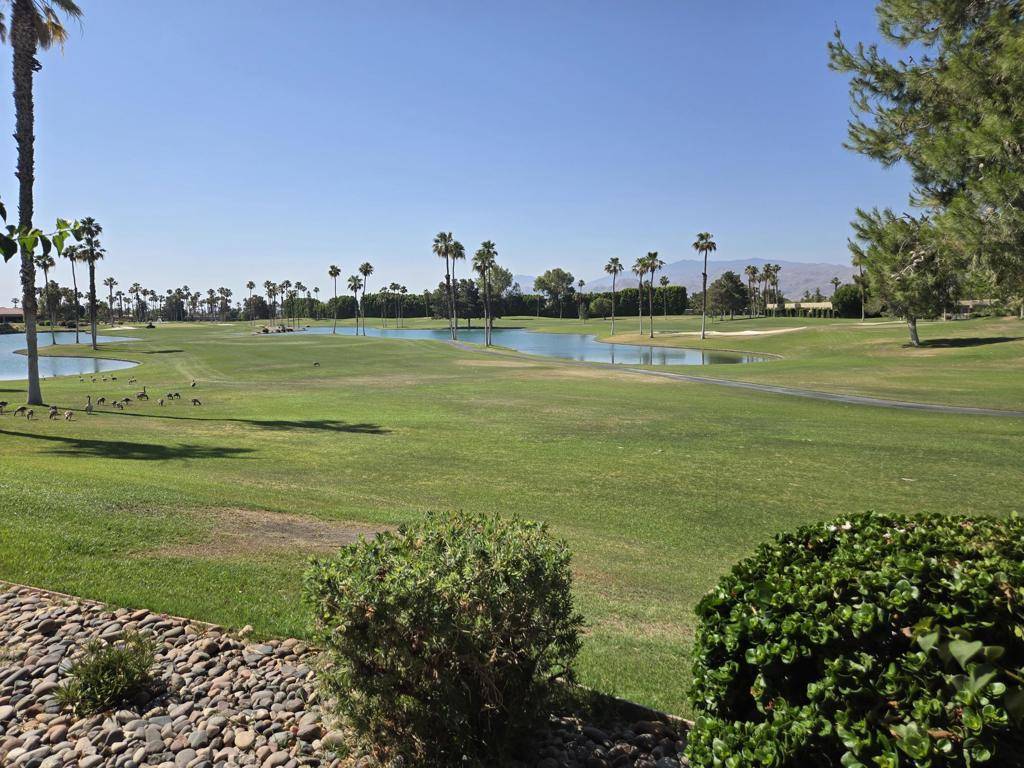 Cathedral City, CA 92234,67727 N Portales DR