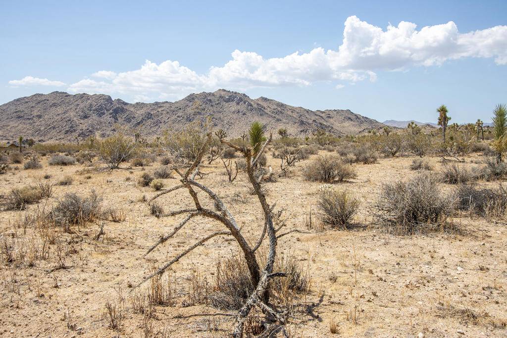 Joshua Tree, CA 92252,125 Drexel RD