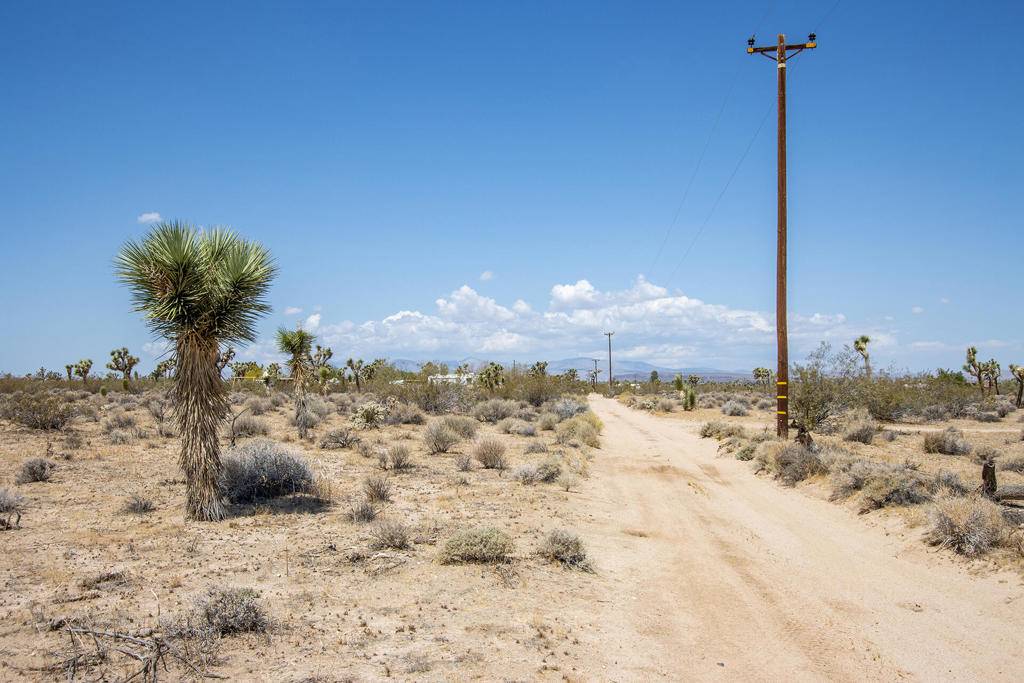 Joshua Tree, CA 92252,125 Drexel RD