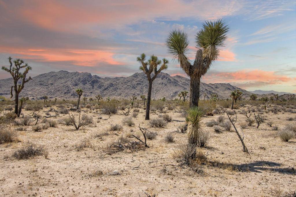 Joshua Tree, CA 92252,124 Drexel RD