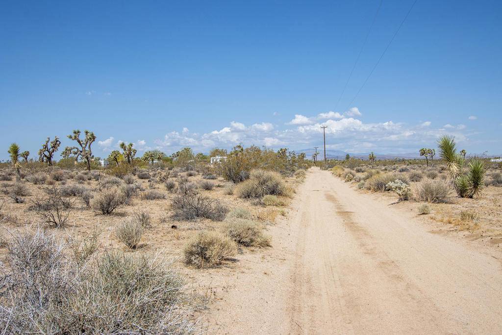 Joshua Tree, CA 92252,124 Drexel RD