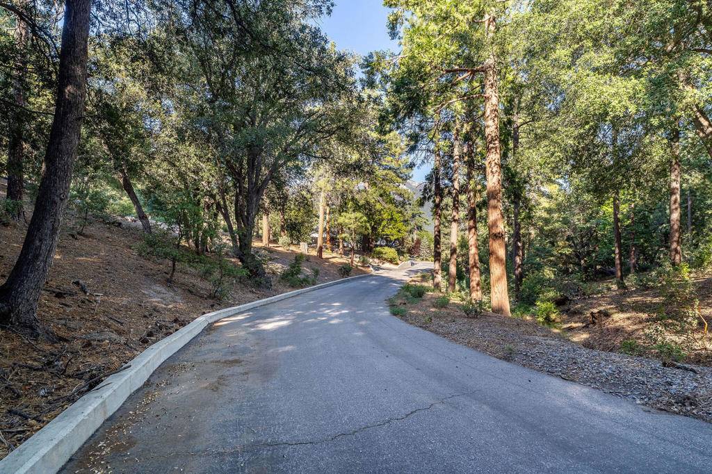 Idyllwild, CA 92549,23520 Highway 243