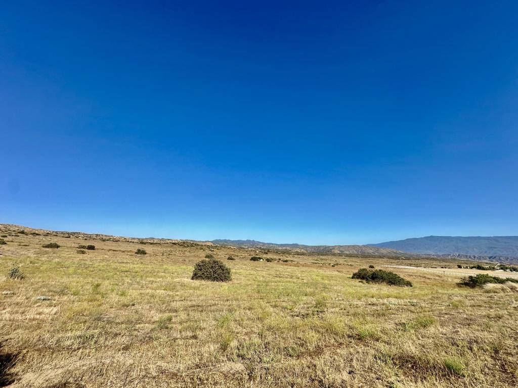 Aguanga, CA 92536,41300 Jojoba Hills CIR