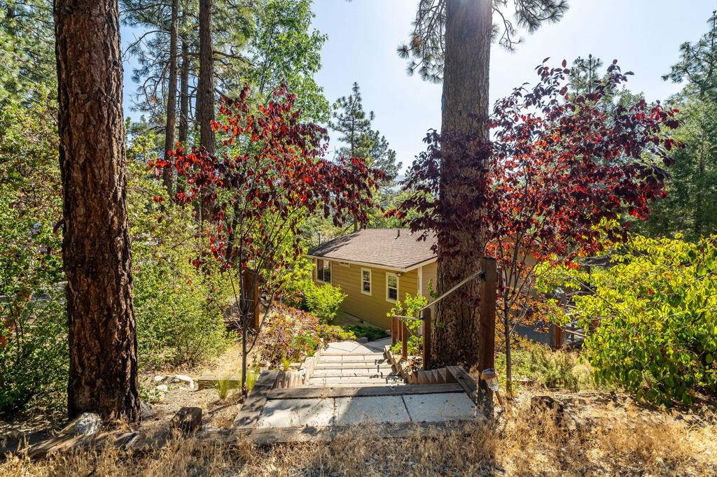 Idyllwild, CA 92549,53545 Double View DR