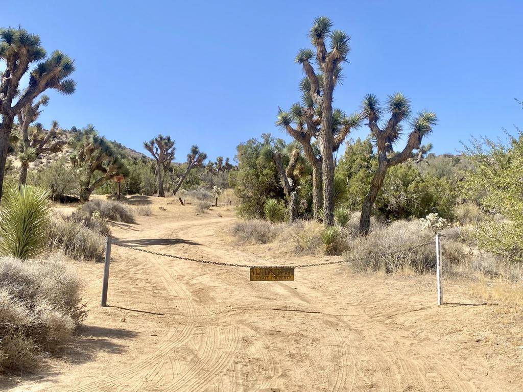 Morongo Valley, CA 92256,109 Benmar TRL