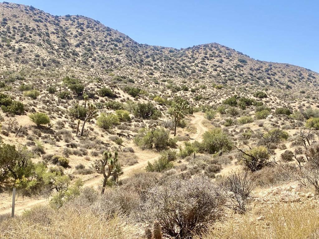 Morongo Valley, CA 92256,109 Benmar TRL