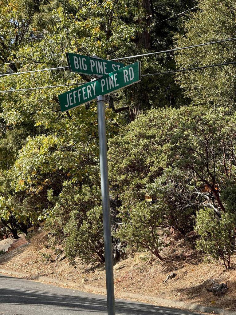 Idyllwild, CA 92549,53642 Jeffrey Pine Road RD