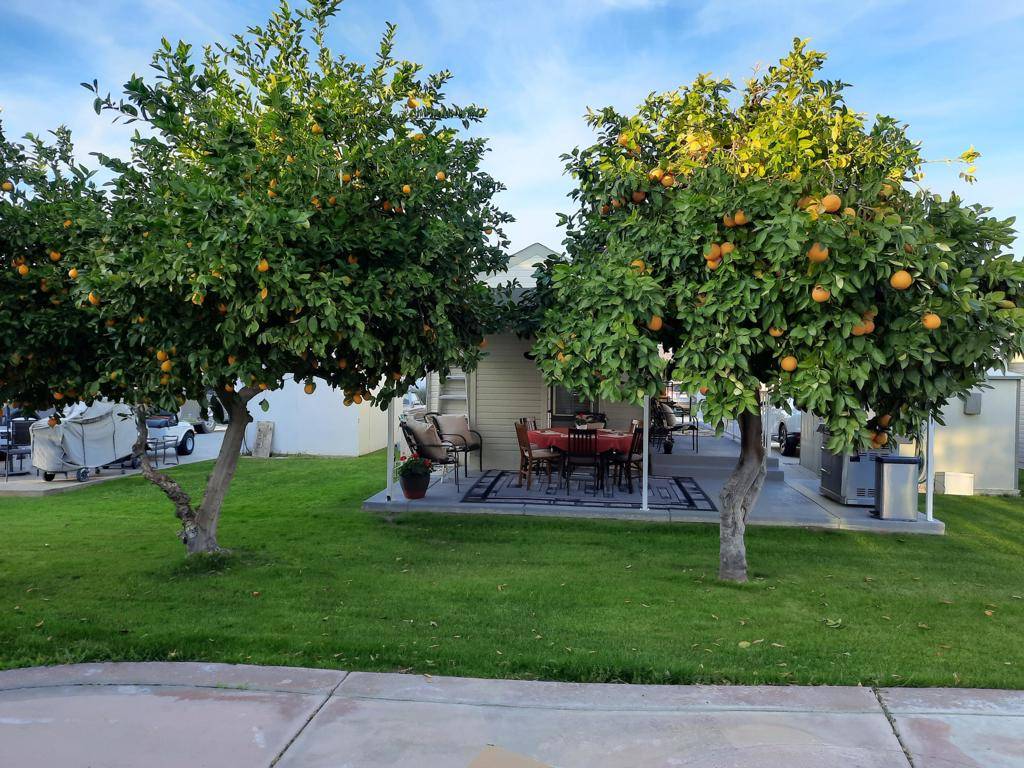 Indio, CA 92201,81620 Avenue 49 #231b