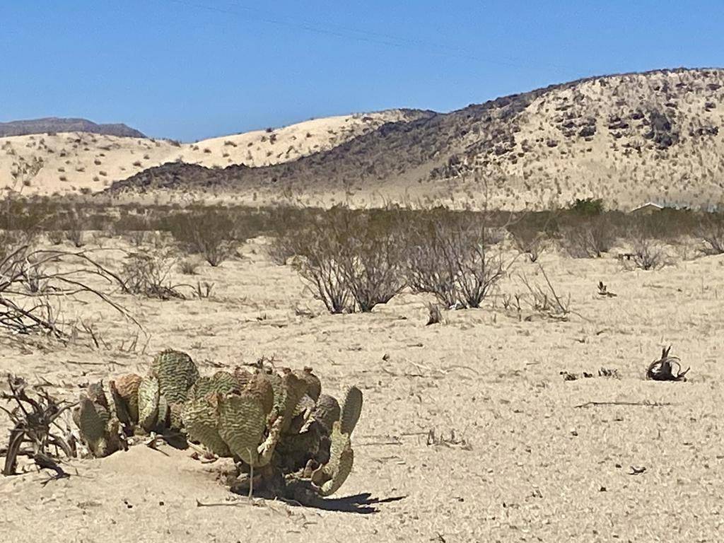 29 Palms, CA 92277,5125 Lear AVE