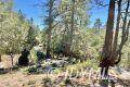 Idyllwild, CA 92549,0 Northridge