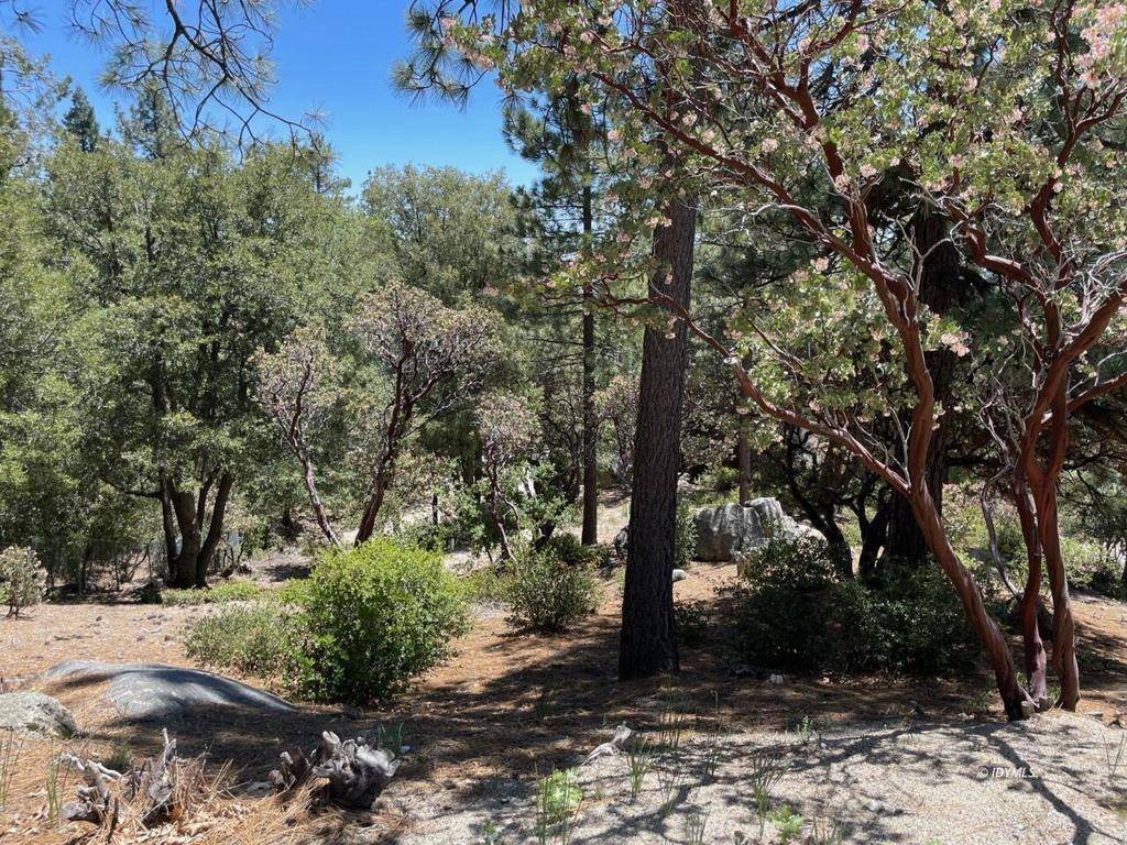 Idyllwild, CA 92549,0 Northridge