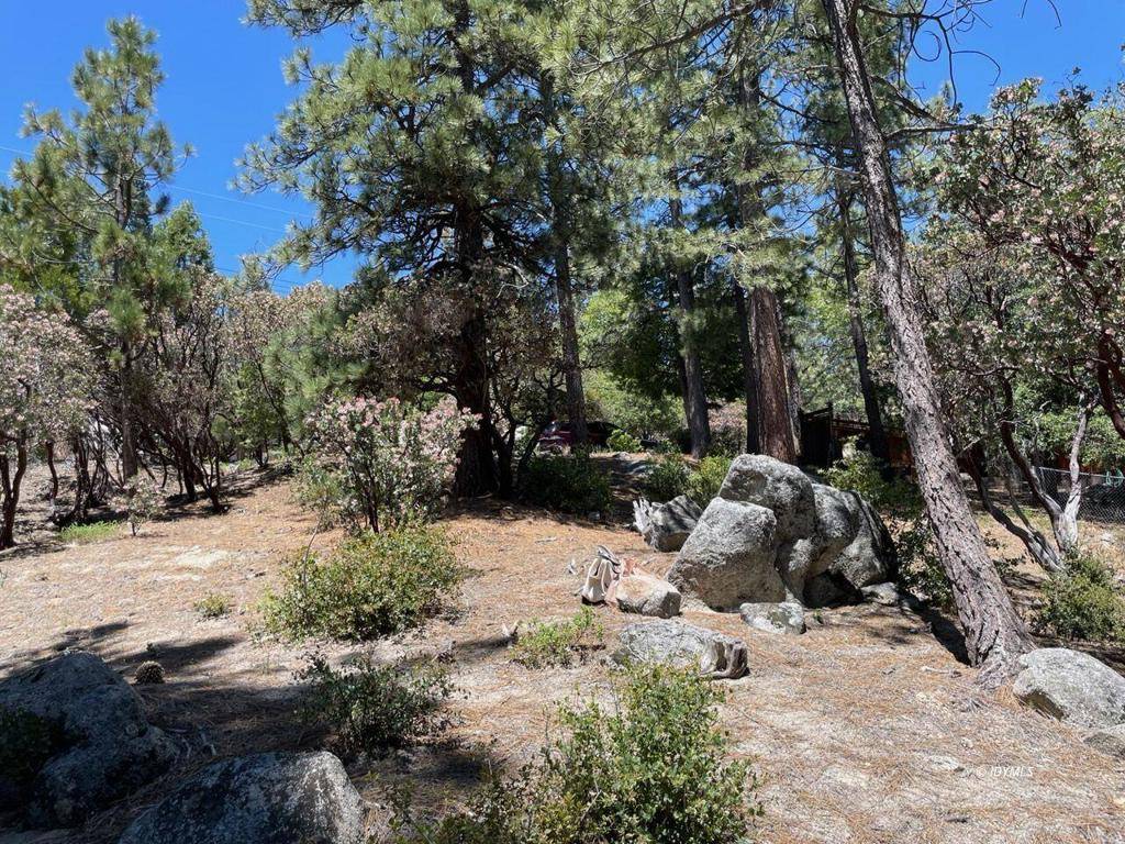 Idyllwild, CA 92549,0 Northridge