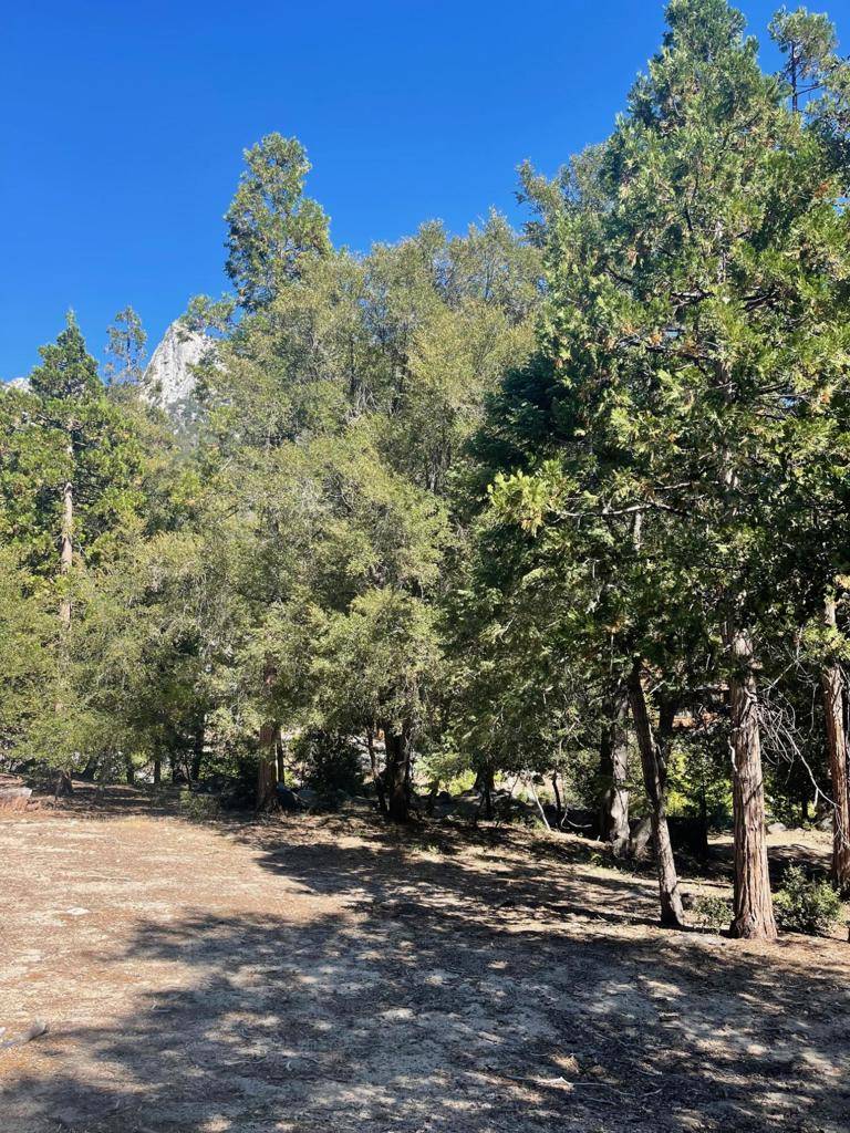 Idyllwild, CA 92549,0 Azalea TRL