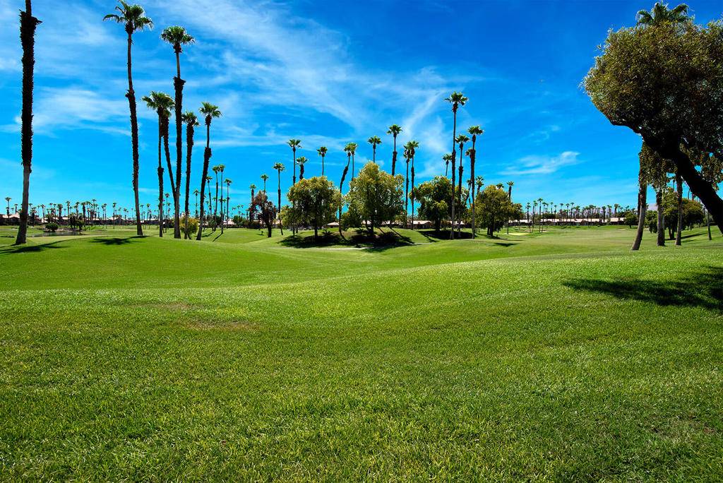 Palm Desert, CA 92211,38180 Zinnia LN E
