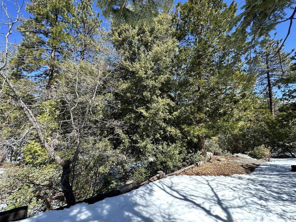 Idyllwild, CA 92549,0 Big Rock