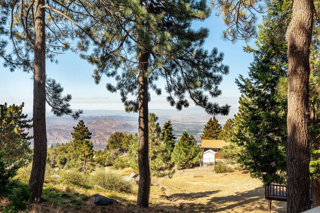 Idyllwild, CA 92549,52200 Golden Leaf TRL
