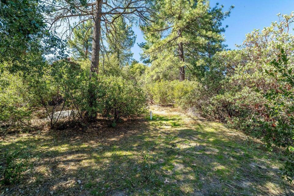 Idyllwild, CA 92549,0 Deer Foot LN