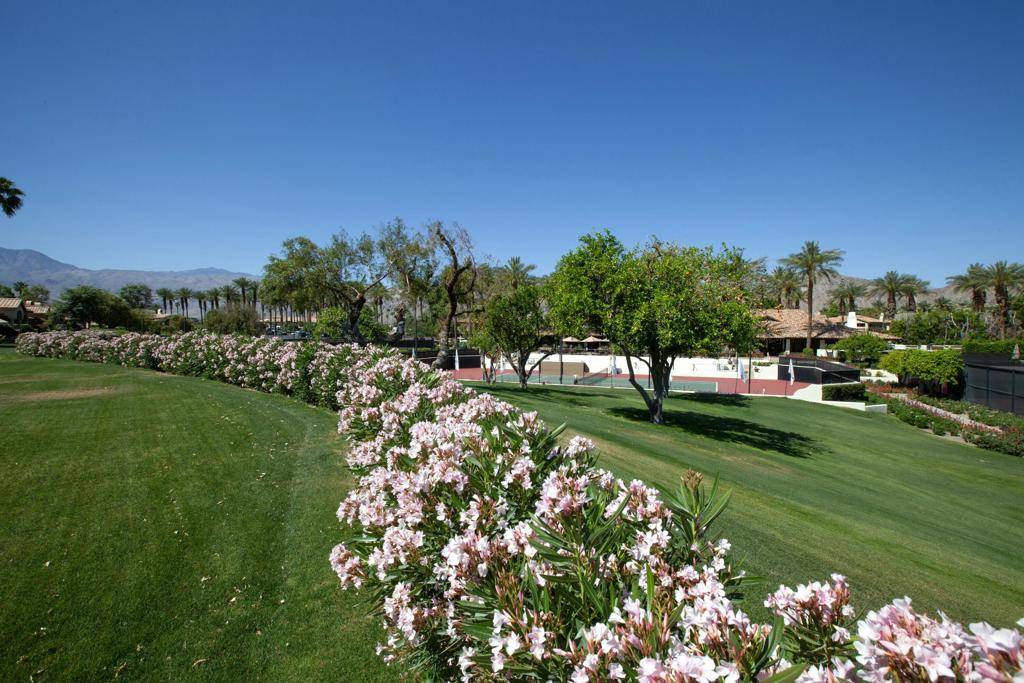 La Quinta, CA 92253,48205 Casita DR