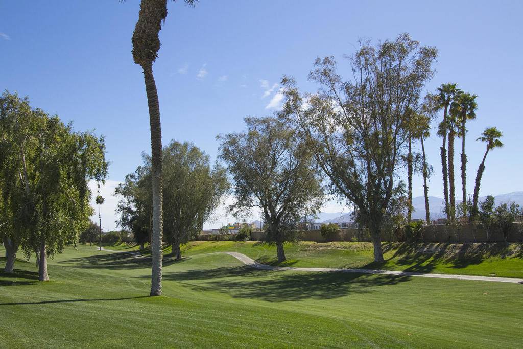 Thousand Palms, CA 92276,74651 Sweetwell RD