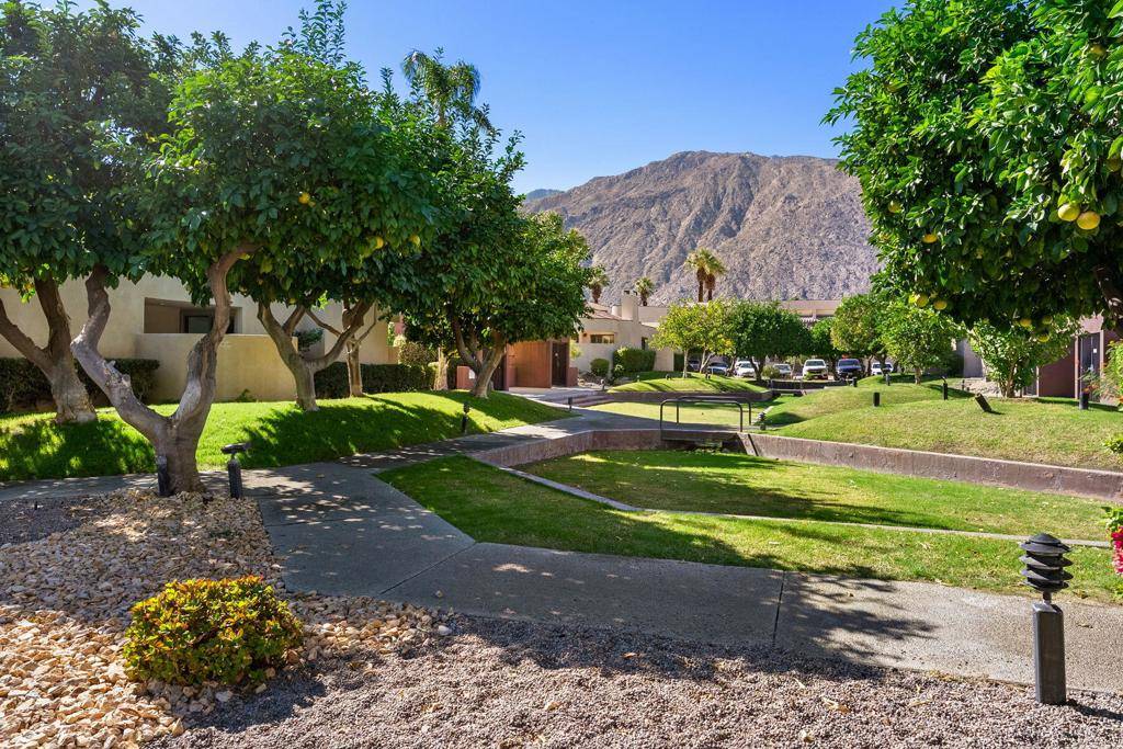 Palm Springs, CA 92262,990 N Village SQ