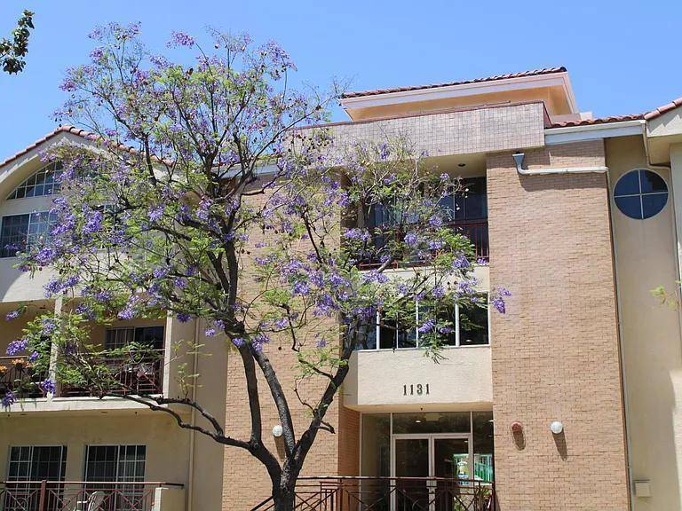 Glendale, CA 91207,1131 Campbell St Apt #212