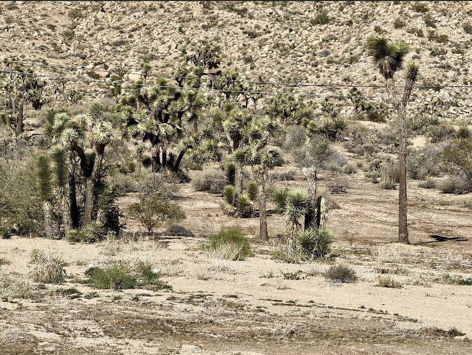 Yucca Valley, CA 92284,56414 Buena Vista DR