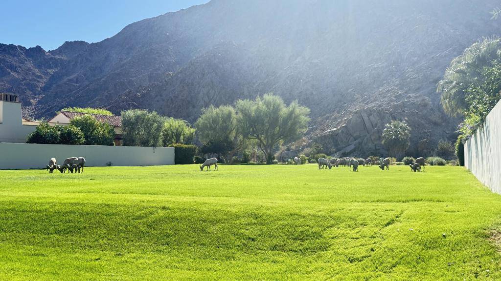 La Quinta, CA 92253,78471 Talking Rock Turn