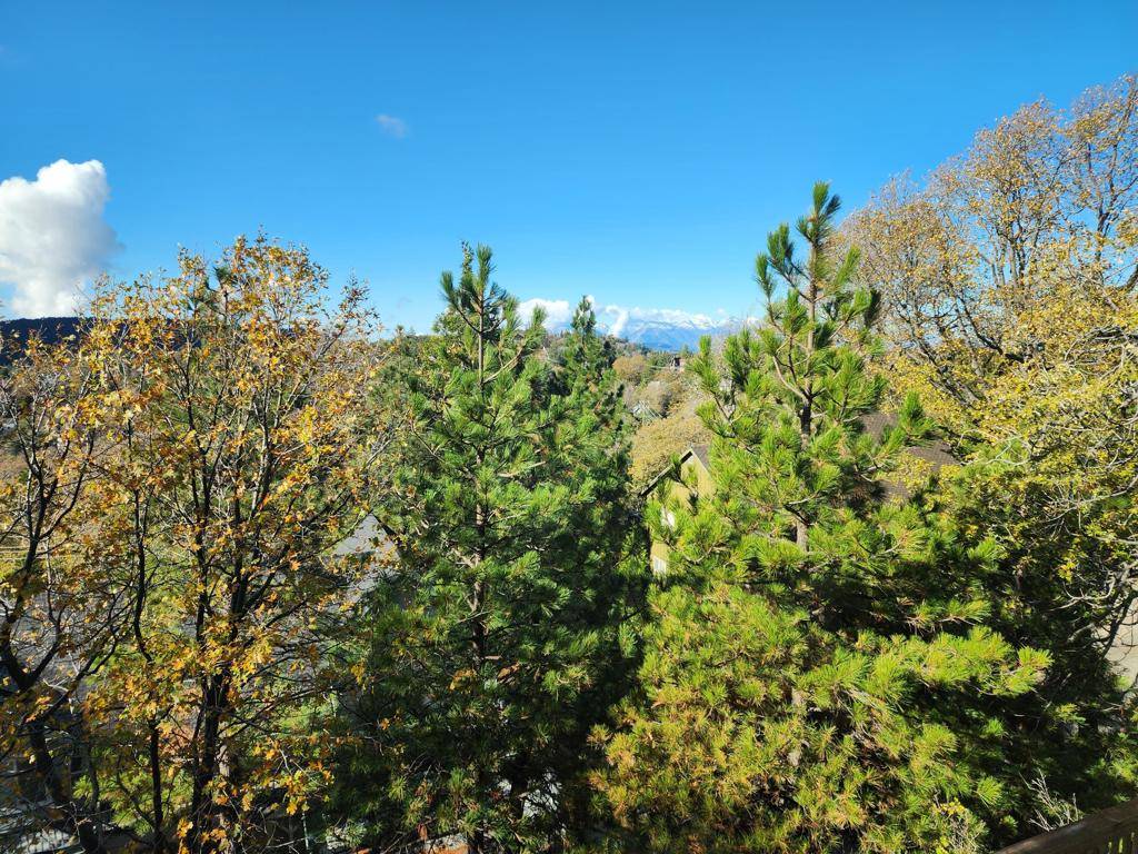 Lake Arrowhead, CA 92352,1294 Kodiak DR