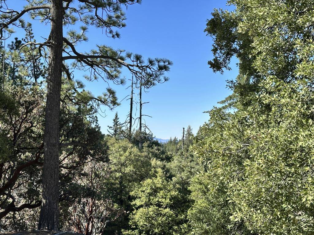 Idyllwild, CA 92549,0 Mountain View