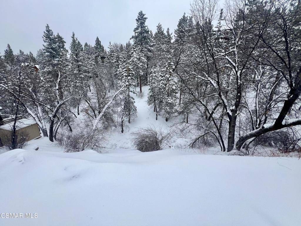 Big Bear, CA 92314,Minton AVE