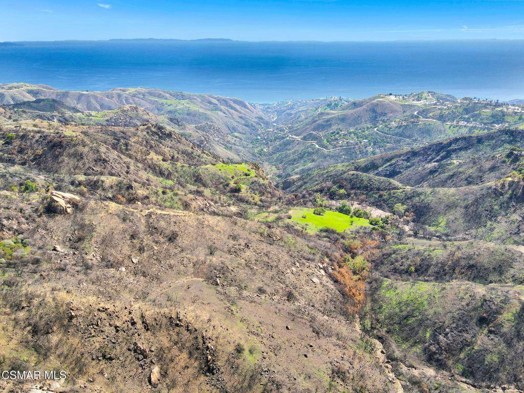 Topanga, CA 90290,8 Sadie