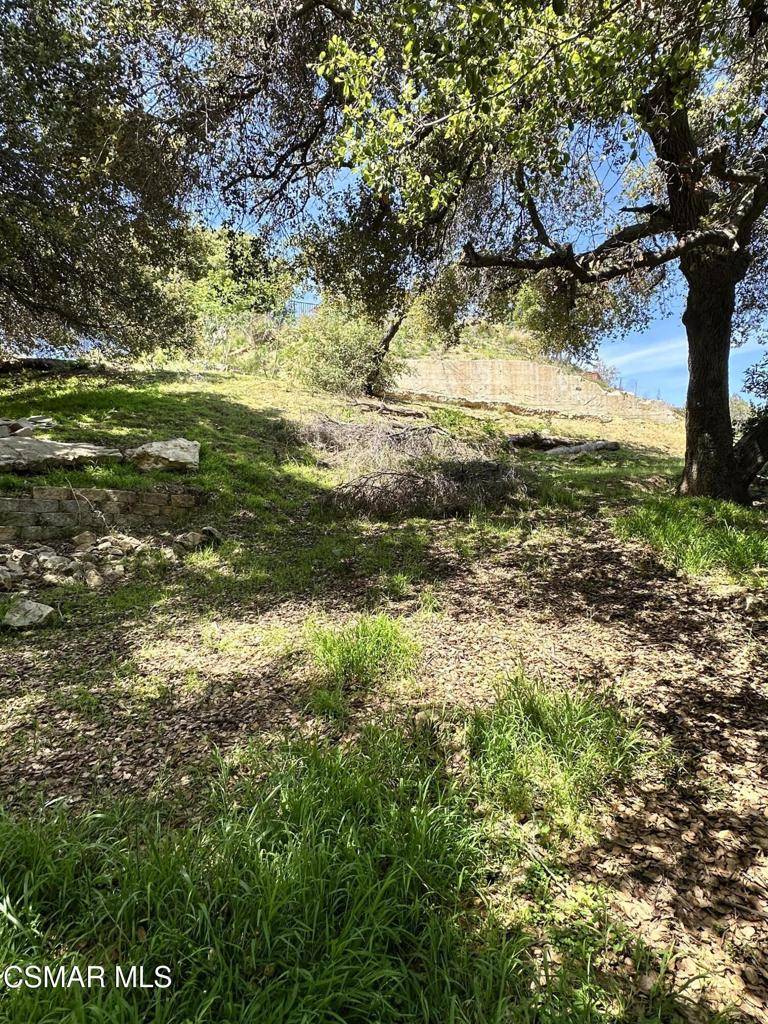 Newbury Park, CA 91320,Rudolph Lots 47,48,49,50 DR
