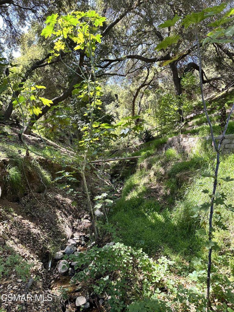 Newbury Park, CA 91320,Rudolph Lots 80,81 DR