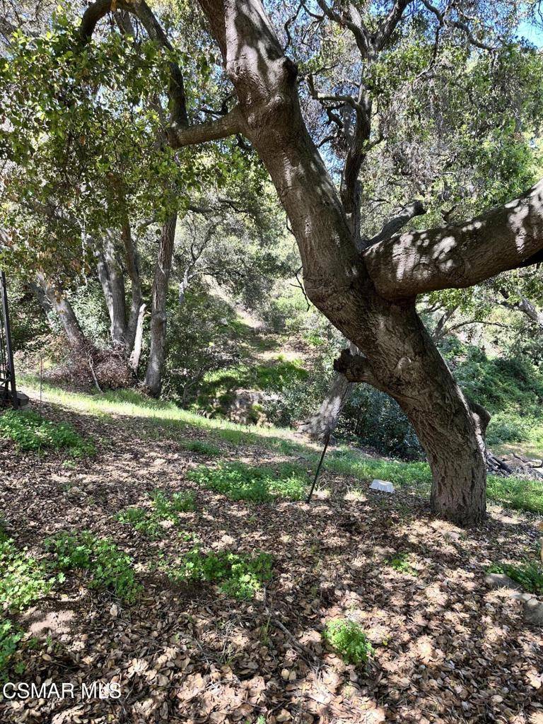 Newbury Park, CA 91320,Rudolph Lots 80,81 DR