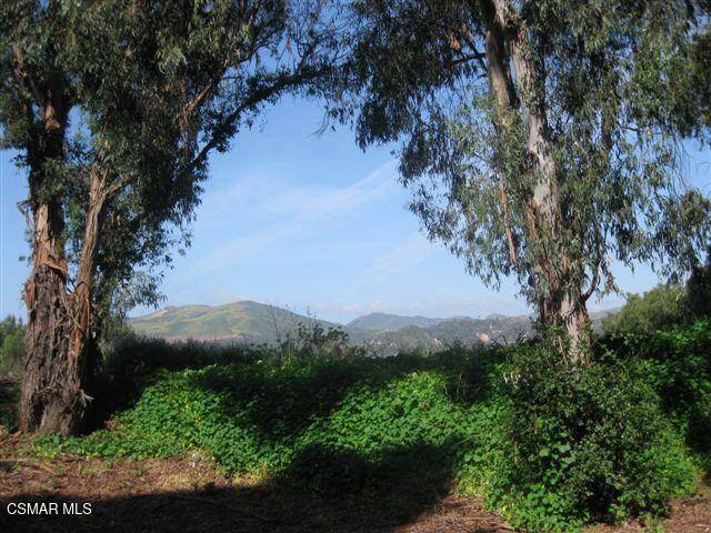 Ventura, CA 93001,771 Seneca ST #D60