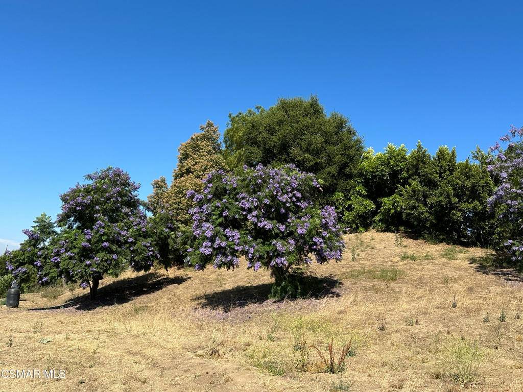 Newbury Park, CA 91320,2831 Lynnview ST