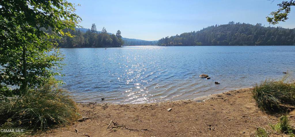 Crestline, CA 92325,23796 Scenic DR