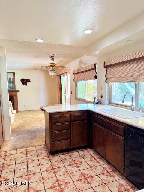 Oxnard, CA 93035,1141 Bogota CT