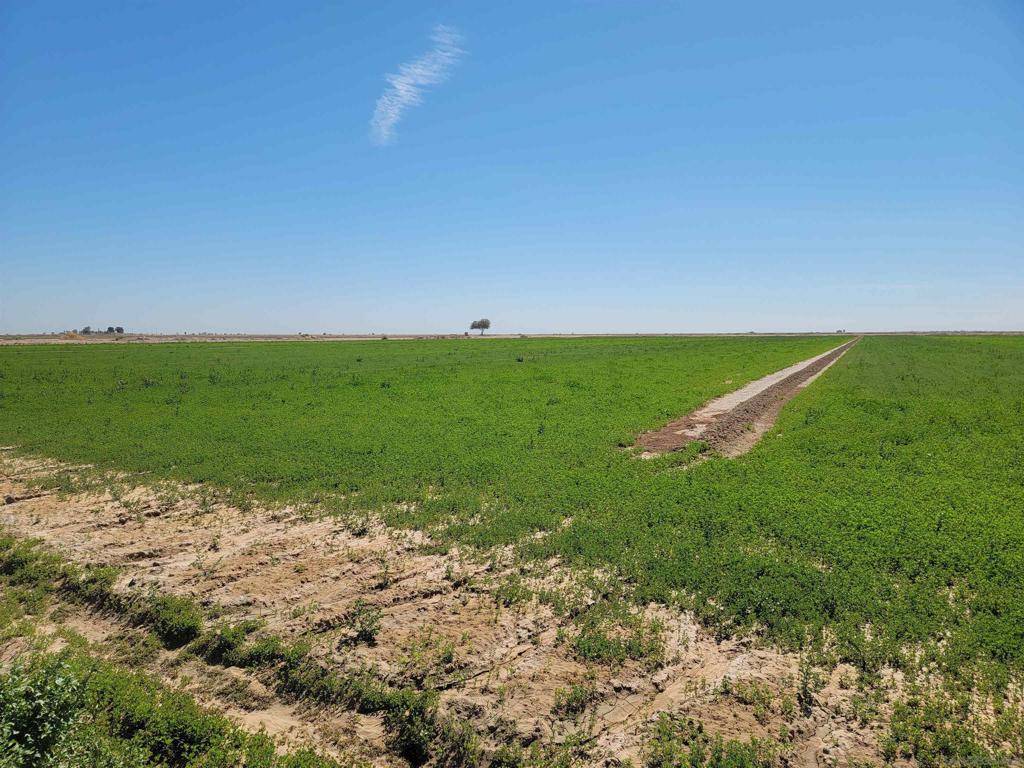 Westmorland, CA 92281,0 Wieman Road
