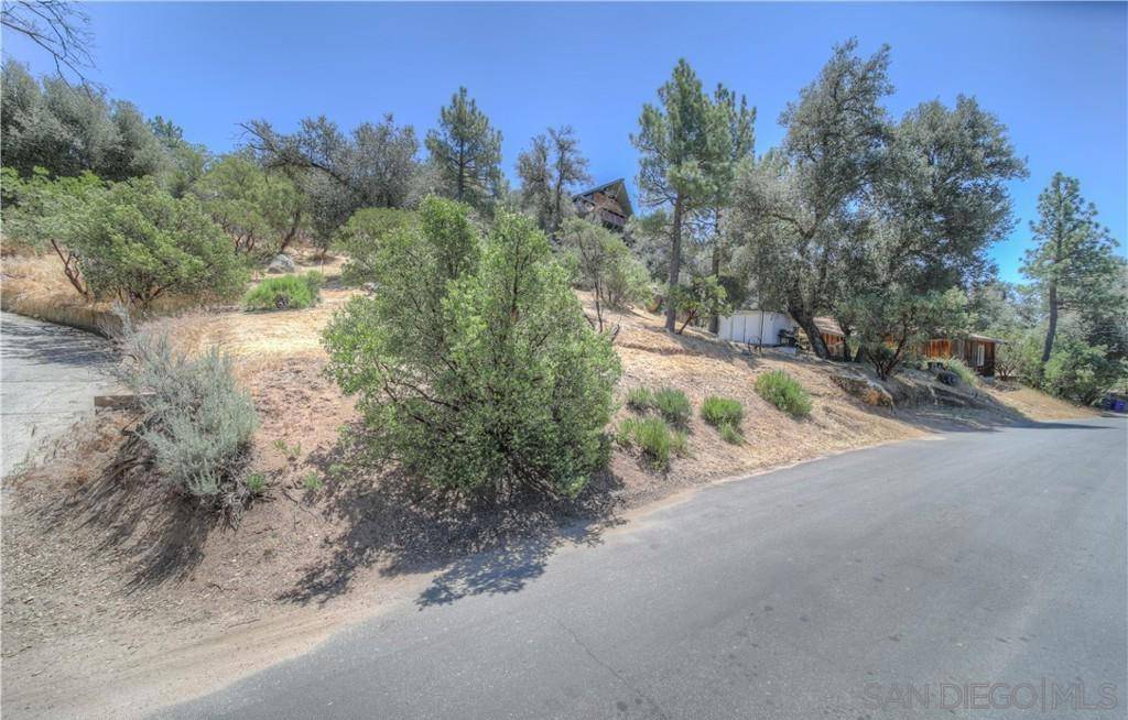 Pine Valley, CA 91962,0 Pine Blvd