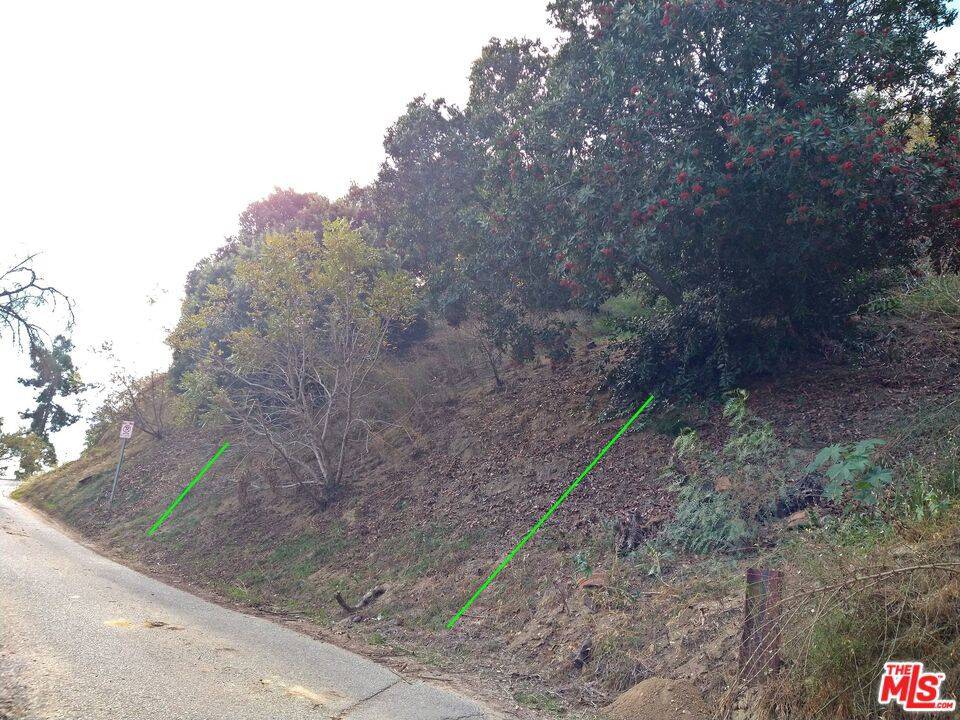 Los Angeles, CA 90032,2861 FOREST PARK DR