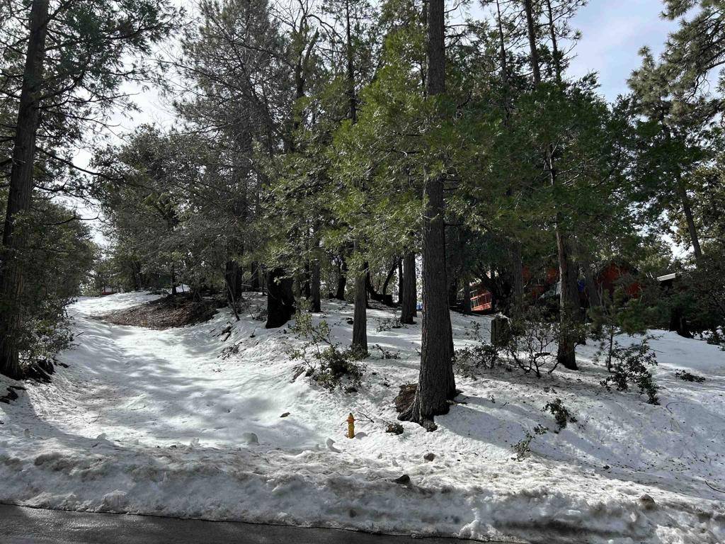 Idyllwild, CA 92549,8 Saunders Meadow Rd