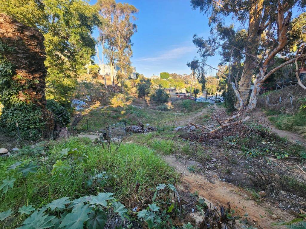 San Diego, CA 92103,0 Bush St