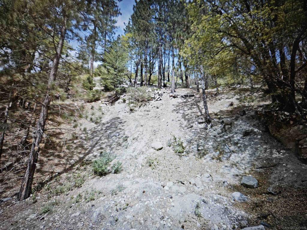 Cedar Glen, CA 92321,29522 Torrey Road