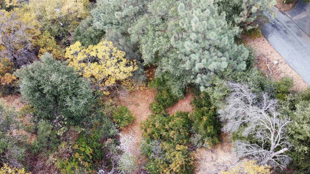 Julian, CA 92036,0 Whispering Pines Drive