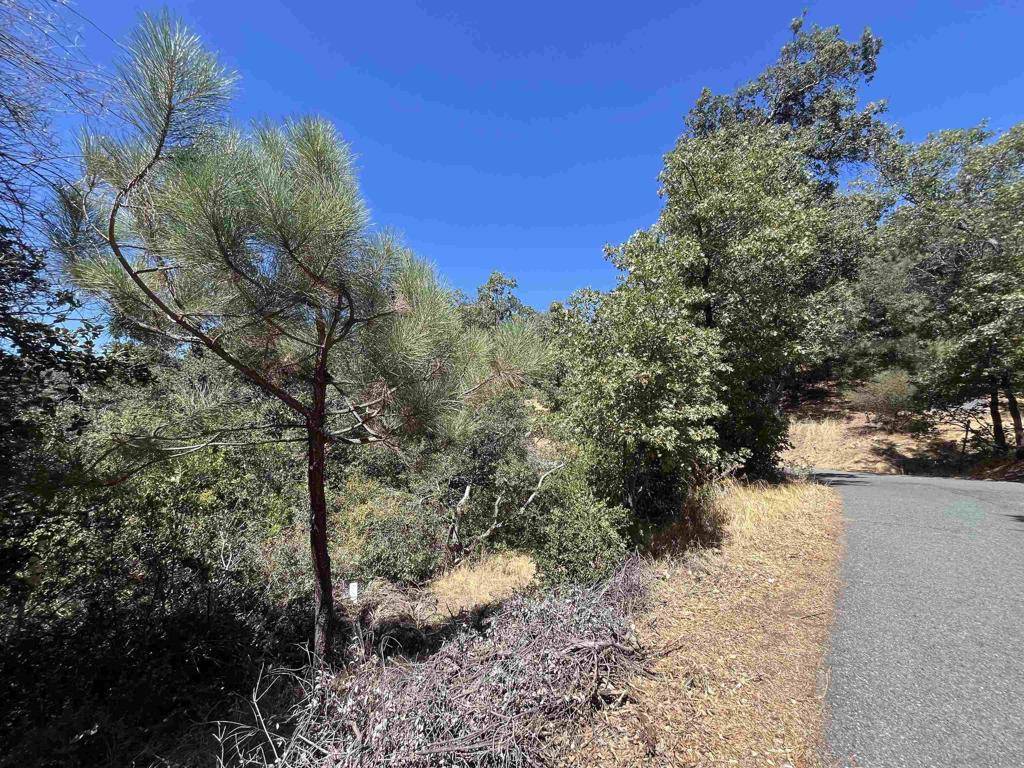 Julian, CA 92036,0 Whispering Pines Drive