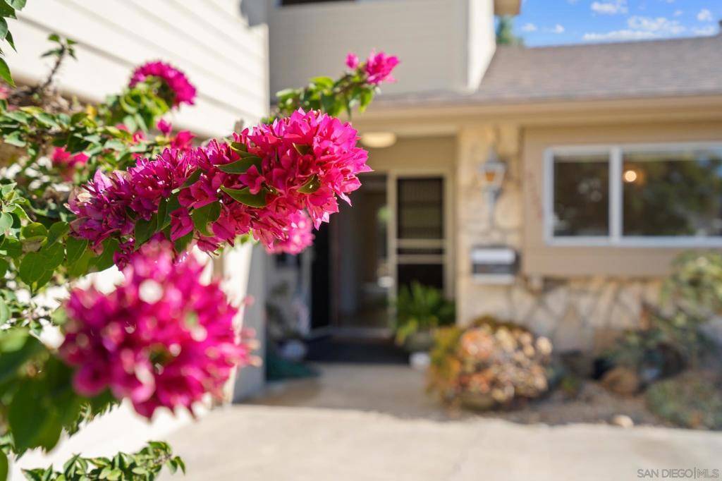San Diego, CA 92109,5153 Windsor Dr