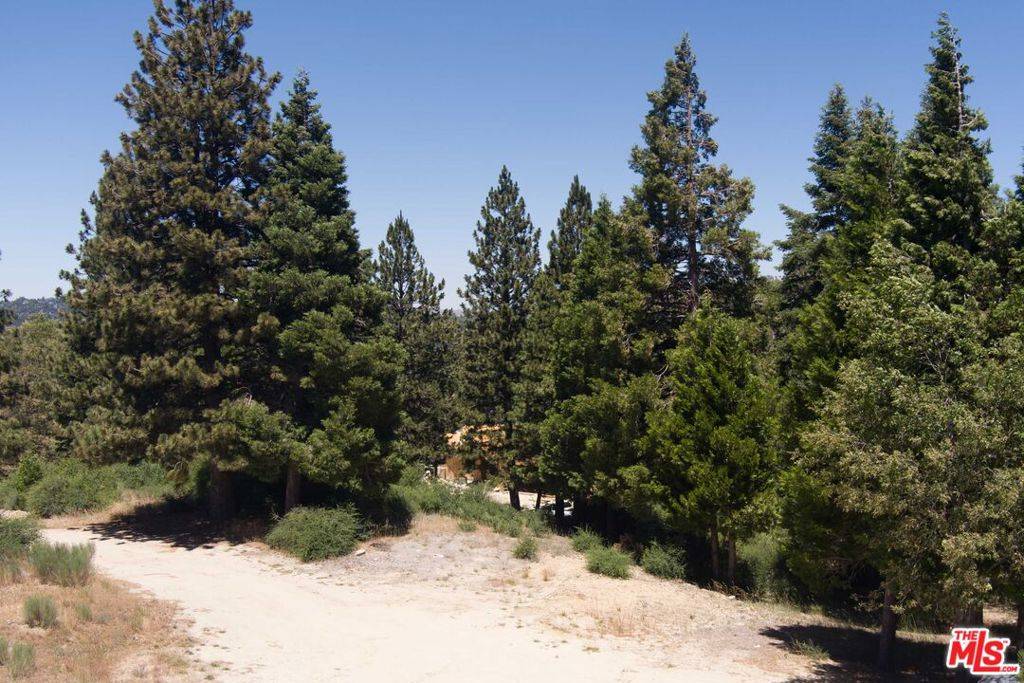 Lake Arrowhead, CA 92352,188 Mill Pond RD