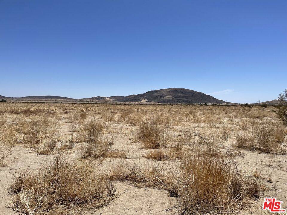 Joshua Tree, CA 92252,0 Cobalt RD